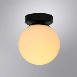 Настенно-потолочный светильник Arte Lamp