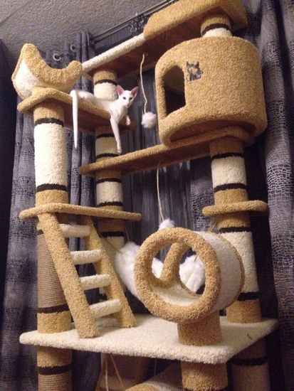 Домик для кошки К-215