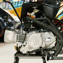 Питбайк PROGASI SMART 190CC GOLD 17/14