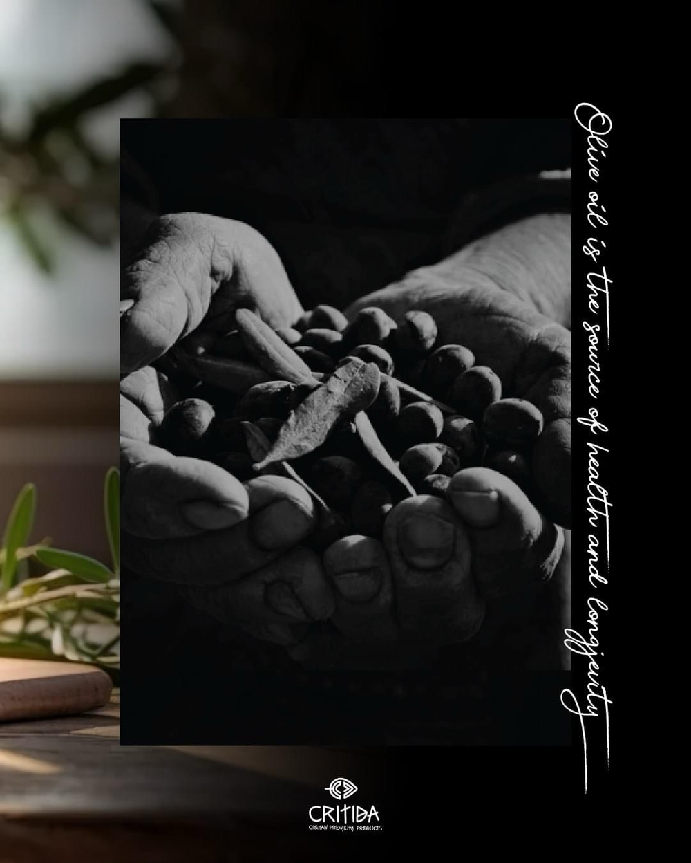 Оливковое масло Critida Messara 0.2, ж/б, Греция