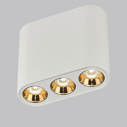 Потолочный светильник ODEON LIGHT 7091/8CL