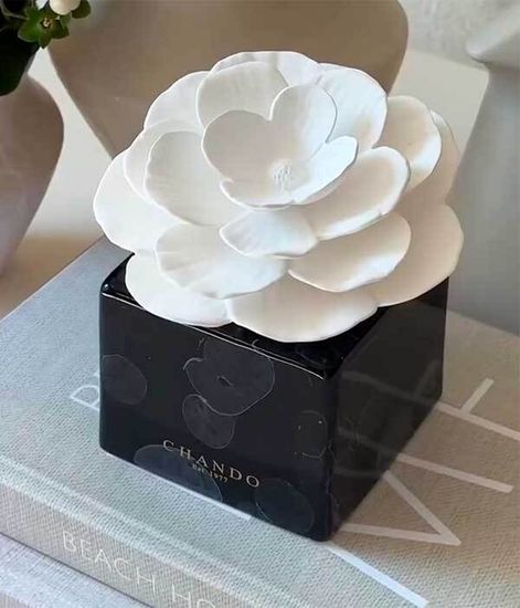 Black Marble, ароматический диффузор с необычными палочками, Chando