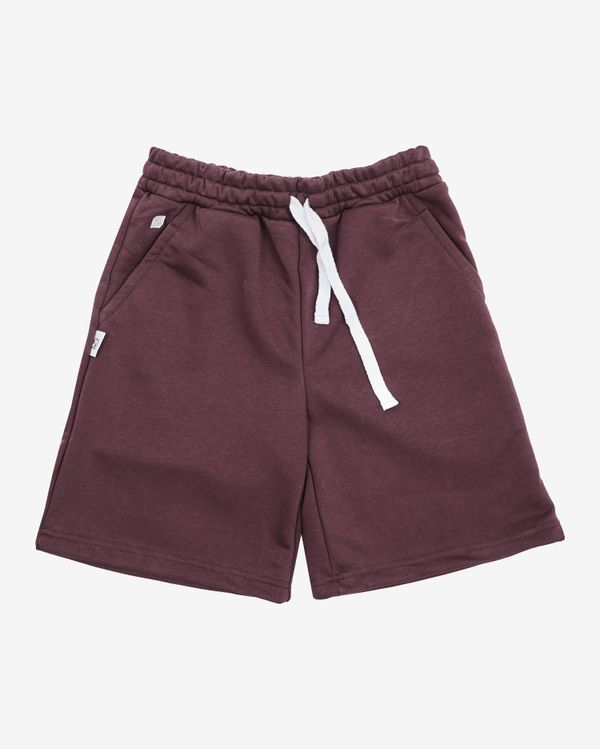 Шорты Wide Logo Catawba Grape - фото 1