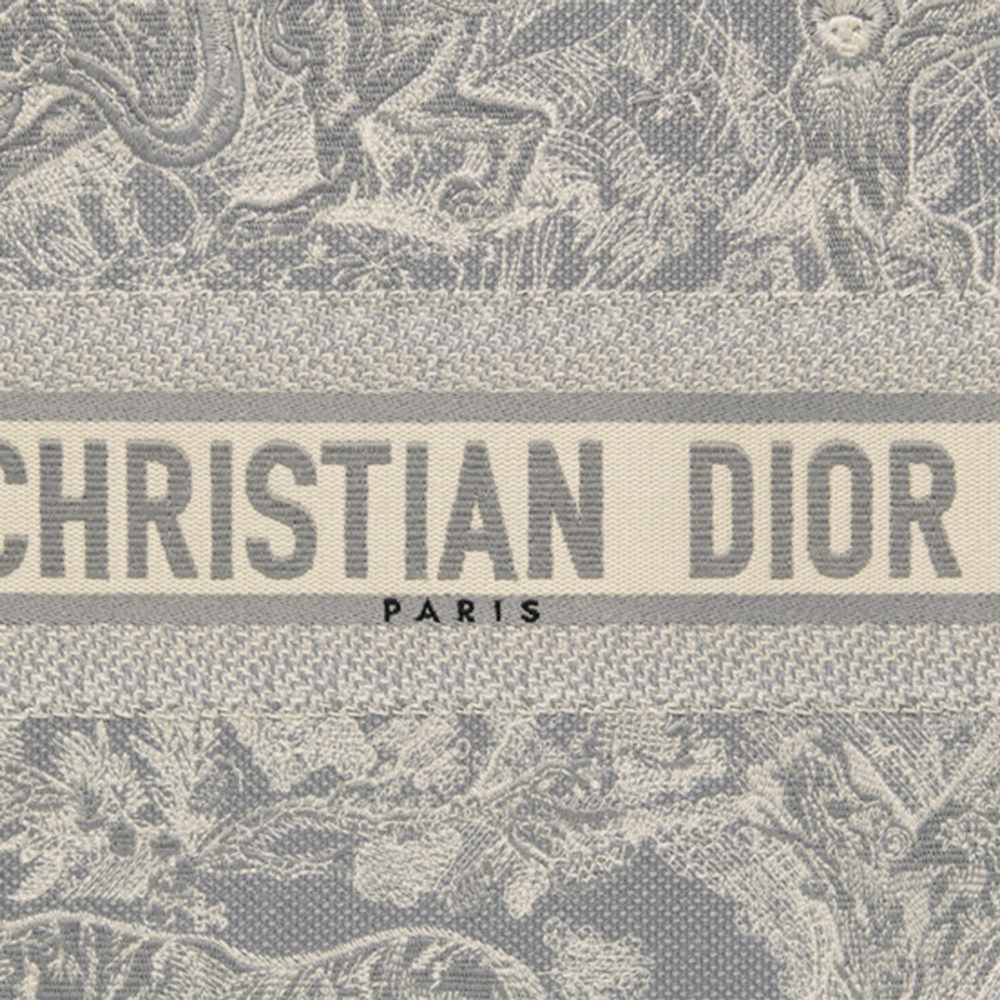 Сумка DIOR Book Tote, M1286ZRGO-M932