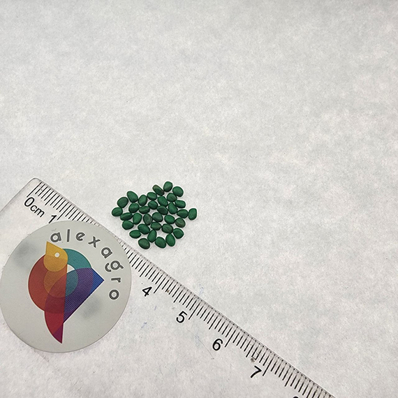 ДИЕГО F1 семена редиса Hazera описание – фото 4