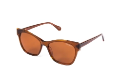 Очки BRENDA мод. TY158 C2 shiny brown