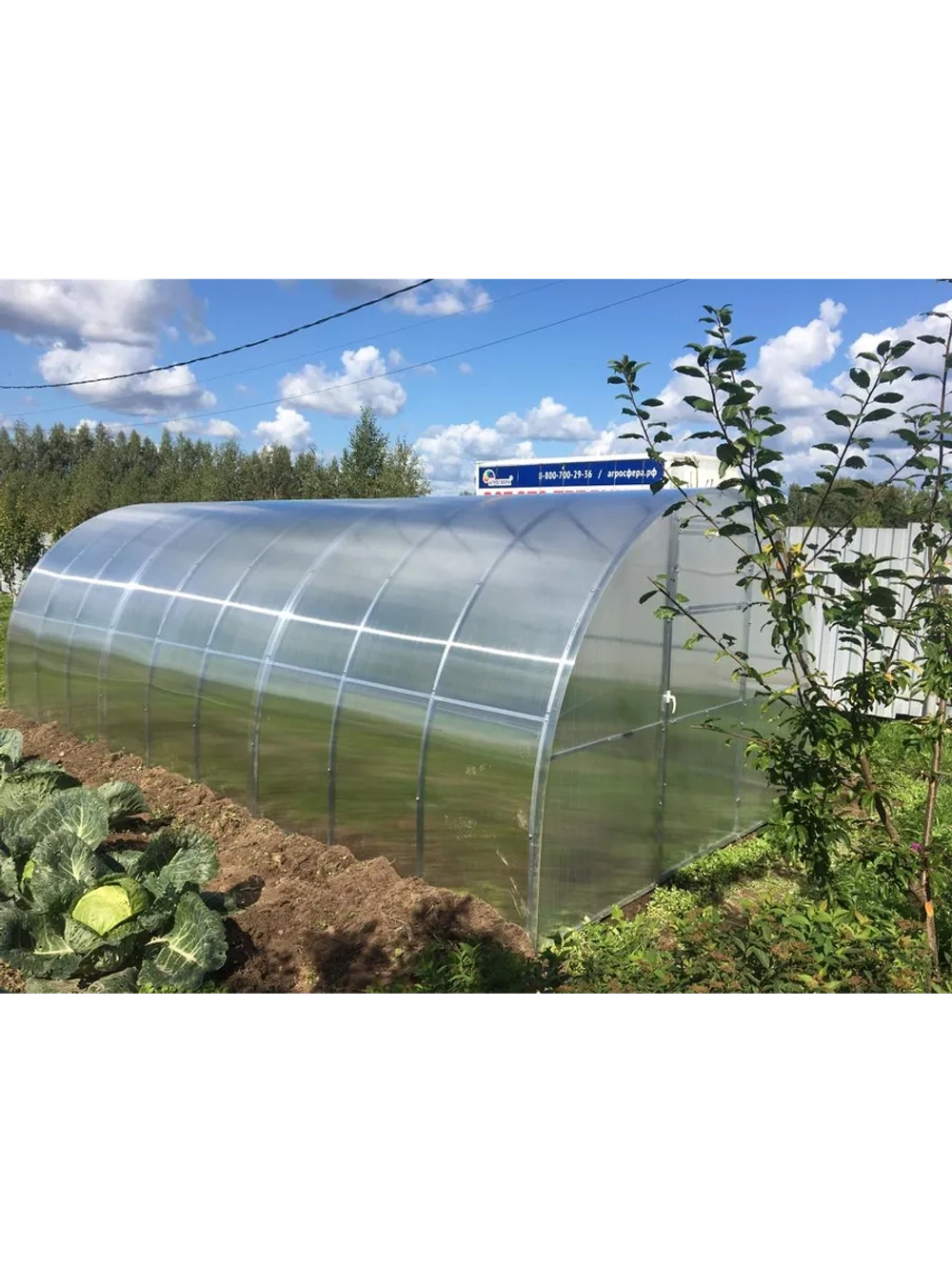 Теплица Агросфера-Престиж 3х6м из трубы 30х20 мм, шаг 67 см