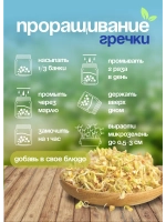 Гречка зеленая непропаренная органическая 5 кг