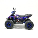 Квадроцикл Green Camel Атакама T630 (72V 2000W R8)