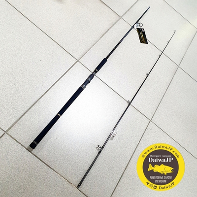 Спиннинг ABU GARCIA NORTH FIELD AKIAJI NFAS-1002MH (3,05м; 10-50г)