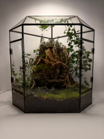 Флорариум XL (от 50 см)