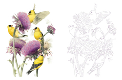 Posh Adult Coloring Book: Inspired by Nature