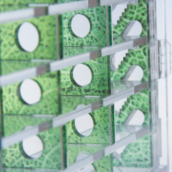 Декоративные вертикальные стенки - Зелень для Crystal XL