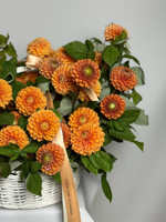 Апельсиновый бунт