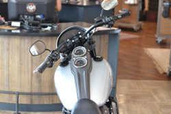 Low Rider S 114 (FXLRS), Softail Harley-Davidson 2020 Barracuda Silver