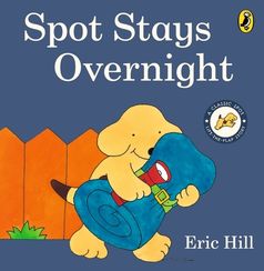 Spot Stays Overnight