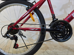 Велосипед Bike Dragon 24" 21скор (ст.рама,SunRun, Жесткая вилка, тормоз V-brake) BD-1-24-3 красный