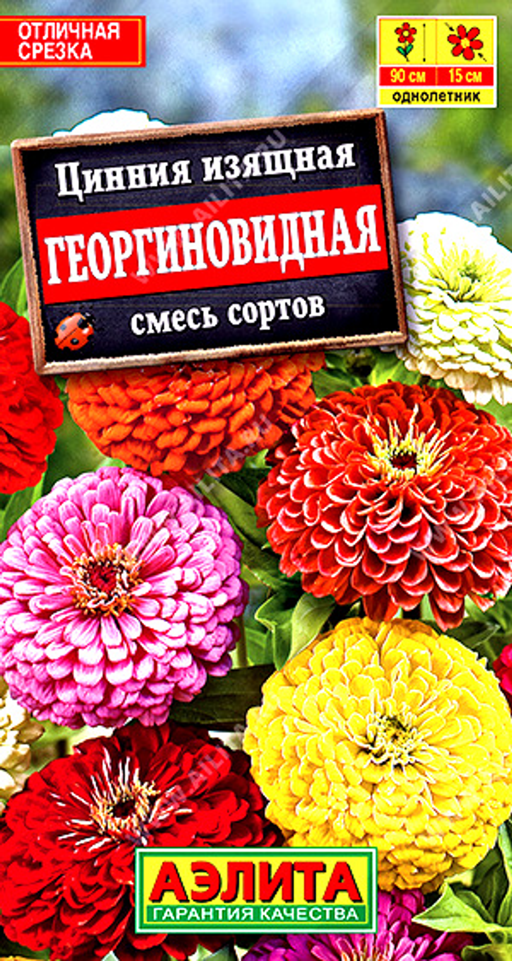 Цинния Георгиновидная, смесь сортов