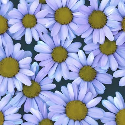 Flowers Pattern #23 Daisies