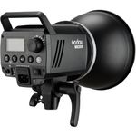 Godox MS300-D