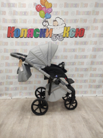 Коляска модульная Adamex Nola Natura N-9-Moon