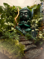 Флорариум M/L (от 20 см до 50 см)