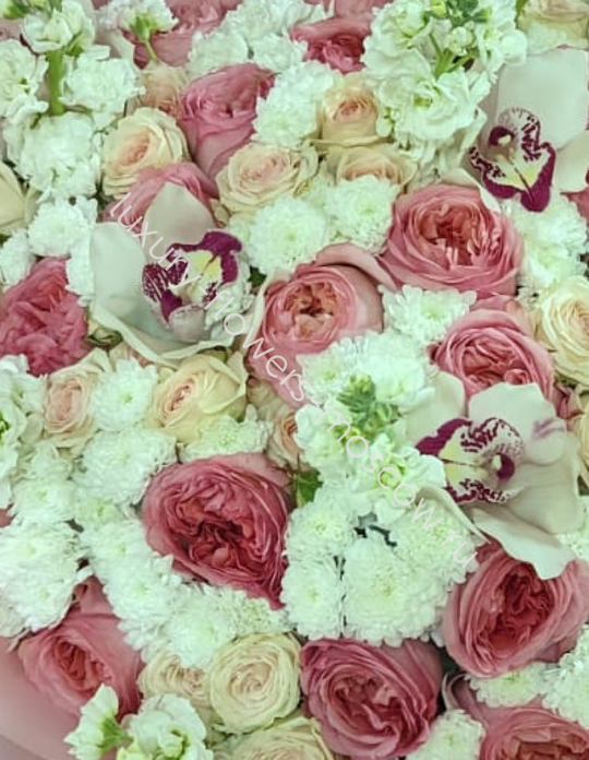 Сборный микс 107