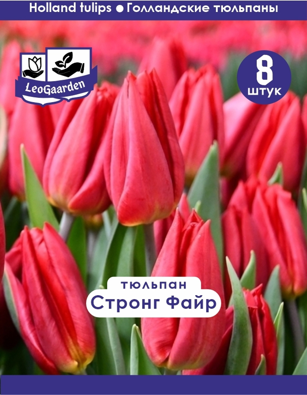 Тюльпан Луковица, Стронг Файр, 8шт