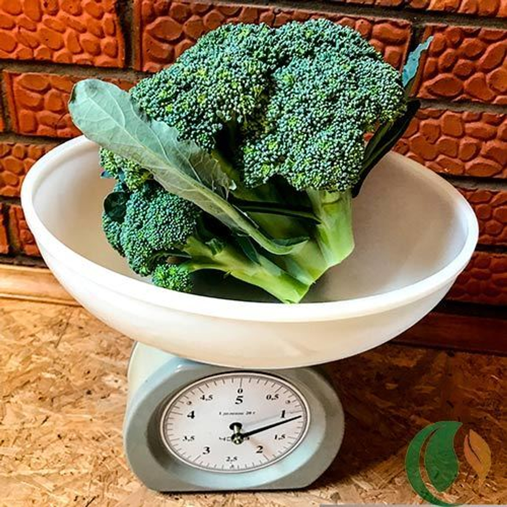 Капуста брокколи Грин Мэджик F1 (100шт)  Витагрин Профи