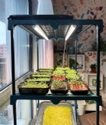 Фитолампа для растений линейная VA-3 90 см 20Вт