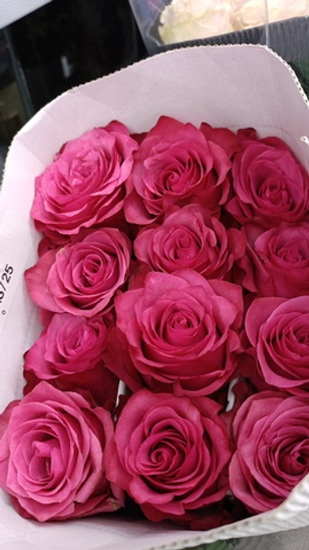 9 роз в крафт упаковке с зеленью