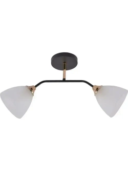 Люстра Rivoli Lorraine 3158-312 2 х Е27 60 Вт модерн