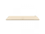 Планшет Huawei MediaPad M5 10.8" Golden Champagne (CMR-AL09)