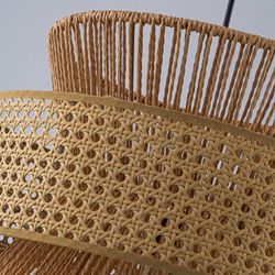 Подвесной светильник Favourite Organicum 4770-1P