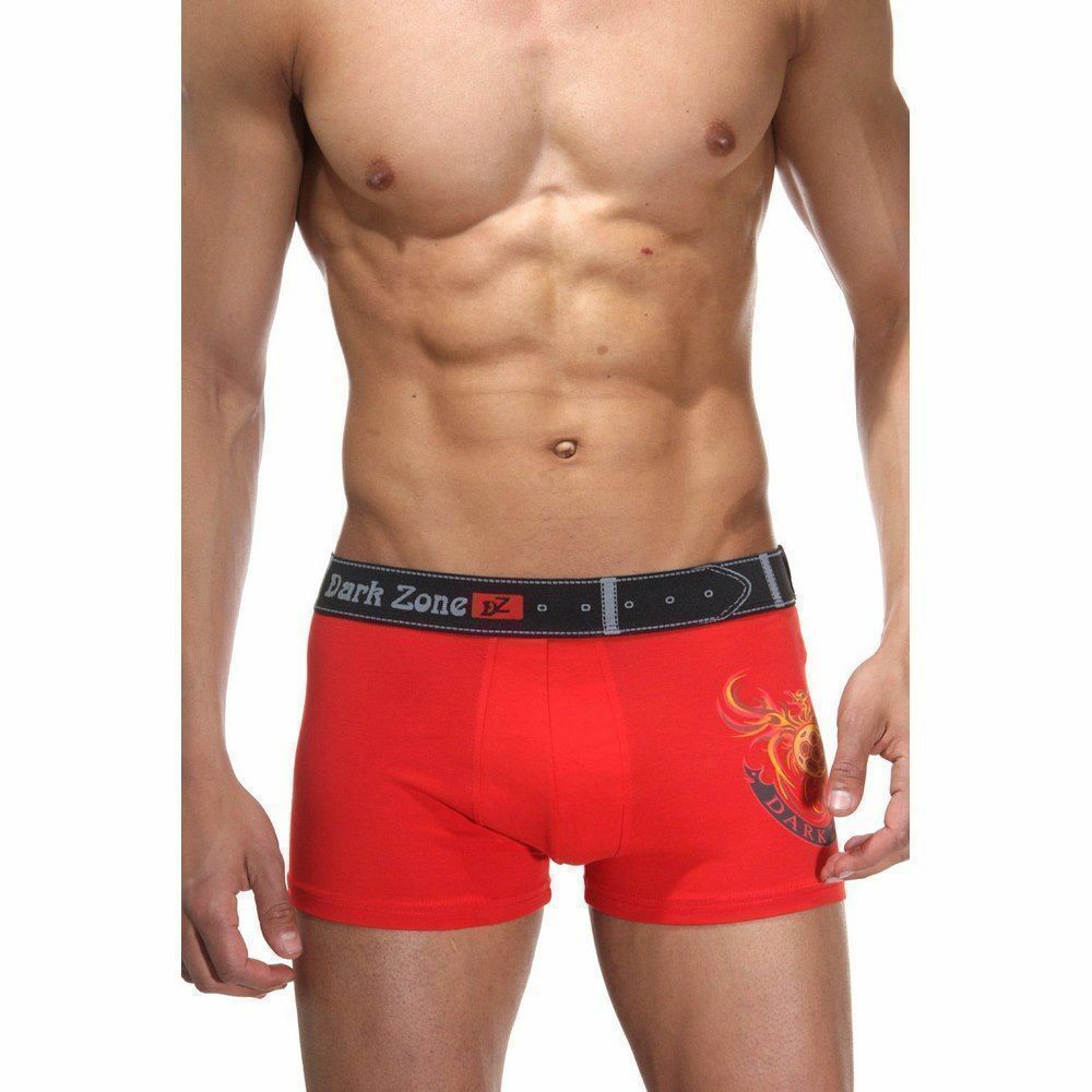 Трусы мужские боксеры красные с принтом "огонь" DARKZONE DZN5006