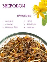 Зверобой трава