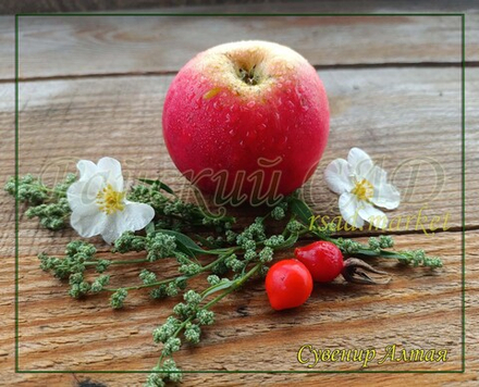 Яблоня Сувенир Алтая