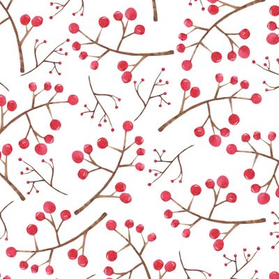 Зимние веточки