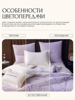 Комплект постельного белья на резинке с одеялом Вельвет Премиум «Лавандовая симфония»