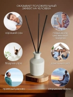 Диффузор для дома по мотивам Dior Sauvage