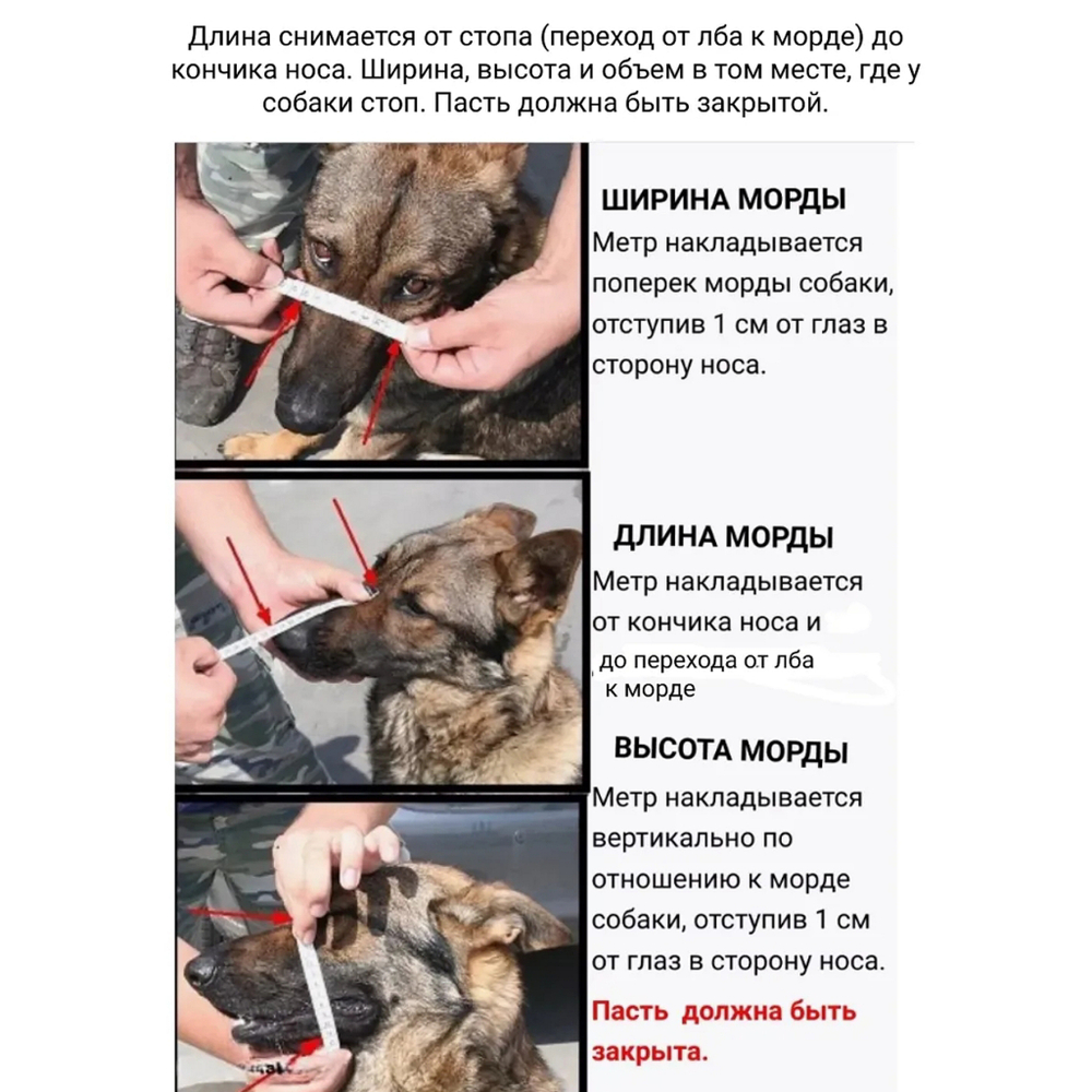 Намордник металлический обливной комфорт от Fordogtrainers