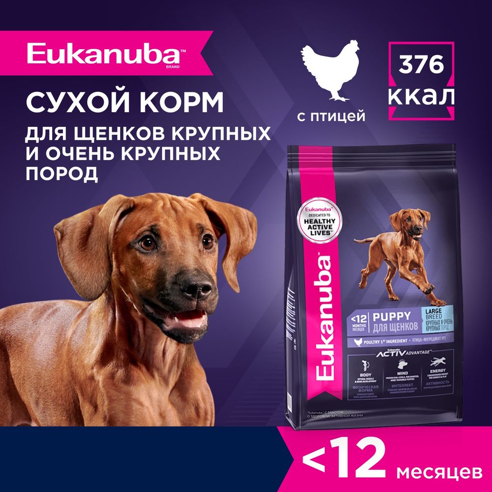 Сухой корм Eukanuba Puppy Large Breed ˂12 Months для щенков крупных и очень крупных пород с птицей