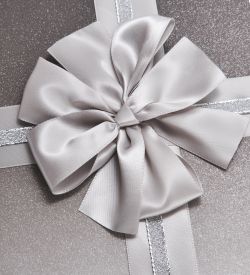 WF-165/3-B Коробка бол., серый