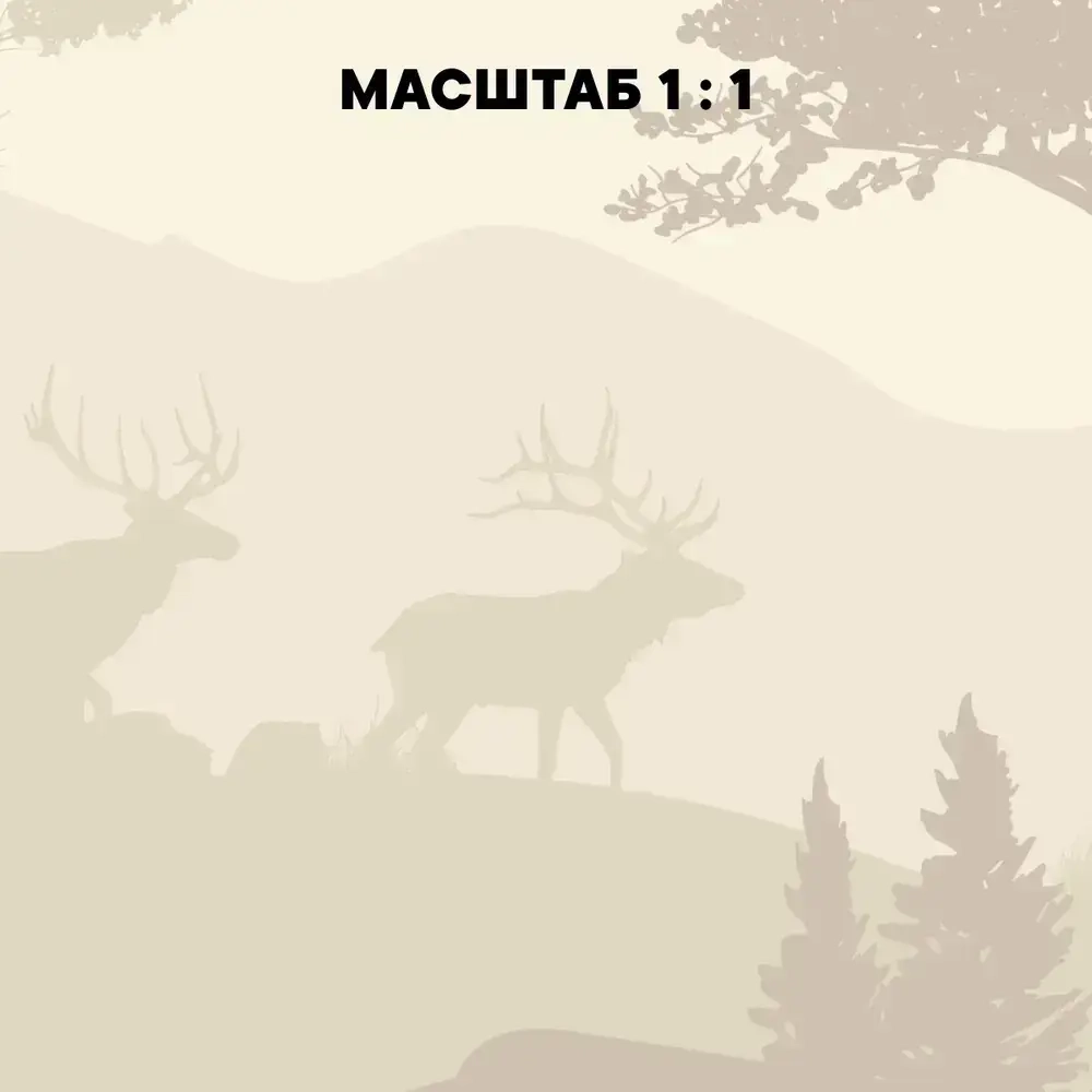 Фотообои 3d детские 400х270 Тени джунглей