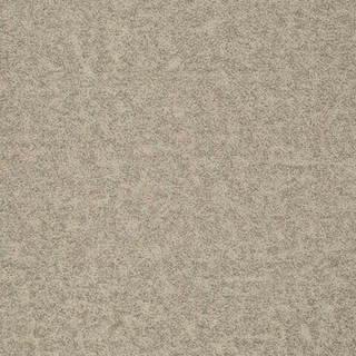 Велюр Пума (Puma) 05