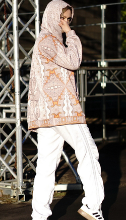 Худи "Азия", по мотивам традиционной азиатской графики