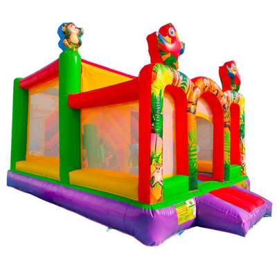 Коммерческий надувной батут «Попугаи и друзья 2» с крышей, 6x4x4 м