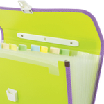 Папка-портфель пластиковая BRAUBERG "JOY" А4 (330х245х35 мм) 13 отделений с окантовкой салатовая (2 штуки в упаковке)