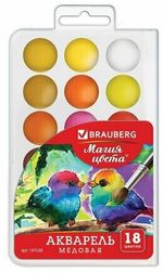 Краски акварельные BRAUBERG "МАГИЯ ЦВЕТА" 18 цветов, медовые, круглые кюветы, пластиковый пенал, 191520