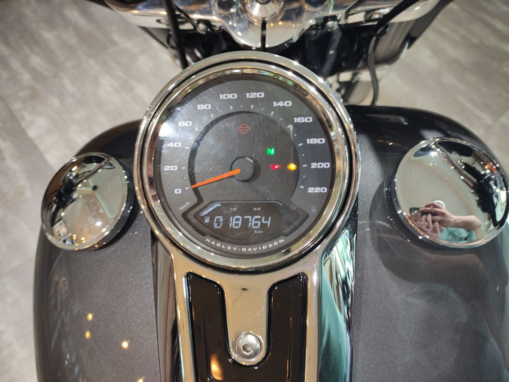 Harley-Davidson Sport Glide, 2021